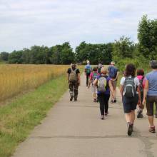 Promenade avec l'association Trottes sentiers Magnycois