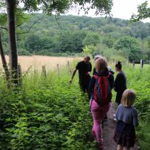 Balade comestible en partenariat avec le PNR de Chevreuse
