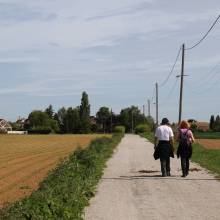 Randonnée pédestre avec l'association Trottes sentiers Magnycois