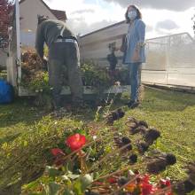 Distribution gratuite de fleurs et atelier « comment entretenir ses outils de jardinage »