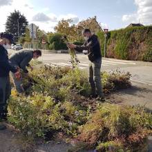 Distribution gratuite de fleurs et atelier « comment entretenir ses outils de jardinage »