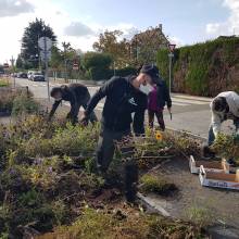 Distribution gratuite de fleurs et atelier « comment entretenir ses outils de jardinage »