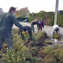 Distribution gratuite de fleurs et atelier « comment entretenir ses outils de jardinage »