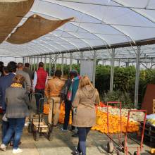 Une école-entreprise à Magny-les-Hameaux