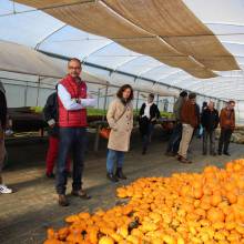 Une école-entreprise à Magny-les-Hameaux