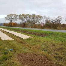 Plantation de fruitiers aux abords de la piste cyclable