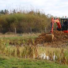 Préservation des mares