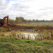 Travaux de préservation des mares
