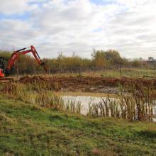 Préservation des mares