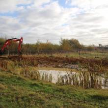 Travaux de préservation des mares