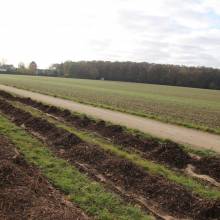 Plantation de fruitiers aux abords de la piste cyclable