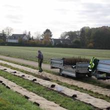 Plantation de fruitiers aux abords de la piste cyclable
