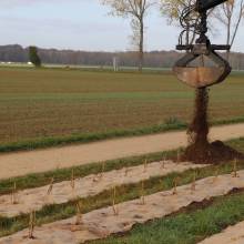 Plantation de fruitiers aux abords de la piste cyclable