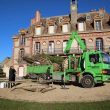 Plantation du Cèdre du Liban au Musée national de Port-Royal des Champs