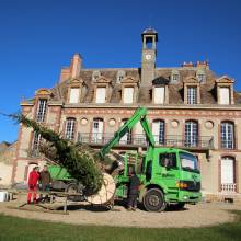Plantation du Cèdre du Liban au Musée national de Port-Royal des Champs