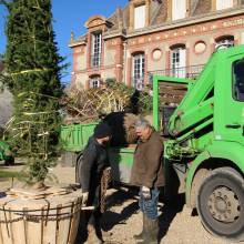 Plantation du Cèdre du Liban au Musée national de Port-Royal des Champs