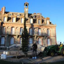 Plantation du Cèdre du Liban au Musée national de Port-Royal des Champs