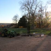 Plantation du Cèdre du Liban au Musée national de Port-Royal des Champs
