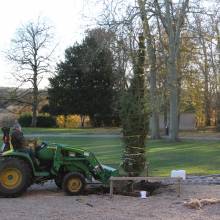 Plantation du Cèdre du Liban au Musée national de Port-Royal des Champs