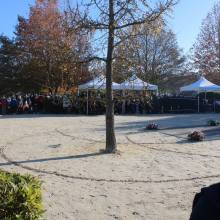 Cérémonie du 11 novembre 2021