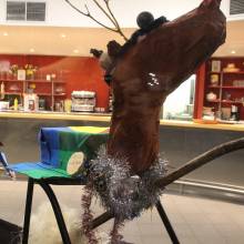 Fin d'après-midi inaugurale des illuminations de fin d'année