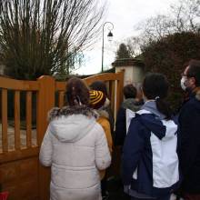 Distribution de chocolats