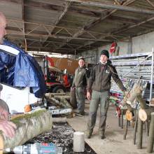 Préparation des festivités de fin d'année