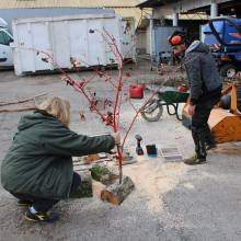 Préparation des festivités de fin d'année