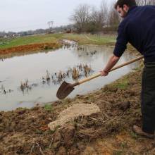 Aménagement des mares : des zones micro-habitats