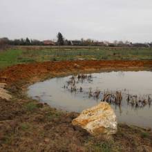 Aménagement des mares : des zones micro-habitats