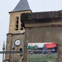 Des cimetières sans pesticides