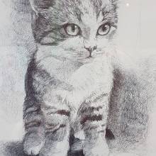 Exposition de Franck Legendre