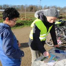 Passeport du civisme : plantation d'arbres fruitiers