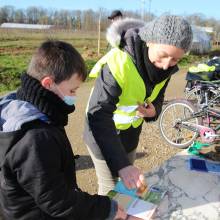 Passeport du civisme : plantation d'arbres fruitiers