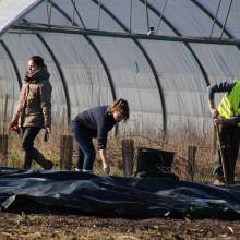 Passeport du civisme : plantation d'arbres fruitiers