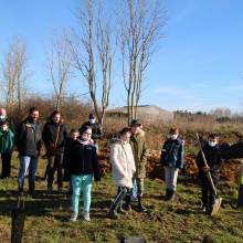 Passeport du civisme : plantation d'arbres fruitiers