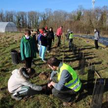 Passeport du civisme : plantation d'arbres fruitiers