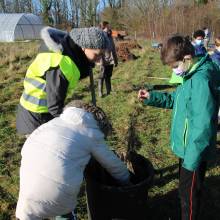 Passeport du civisme : plantation d'arbres fruitiers