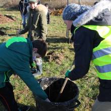 Passeport du civisme : plantation d'arbres fruitiers