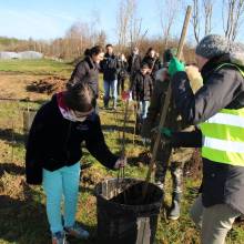 Passeport du civisme : plantation d'arbres fruitiers