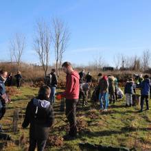 Passeport du civisme : plantation d'arbres fruitiers