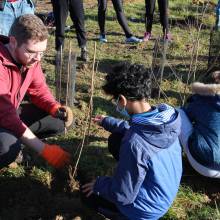 Passeport du civisme : plantation d'arbres fruitiers