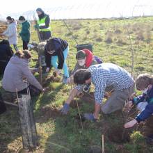 Passeport du civisme : plantation d'arbres fruitiers