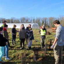 Passeport du civisme : plantation d'arbres fruitiers