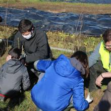 Passeport du civisme : plantation d'arbres fruitiers