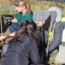 Passeport du civisme : plantation d'arbres fruitiers