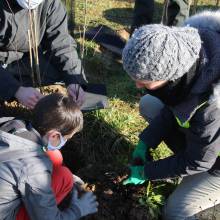 Passeport du civisme : plantation d'arbres fruitiers