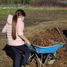 Passeport du civisme : plantation d'arbres fruitiers