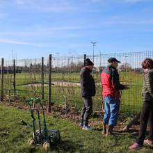 Apprentissage de la taille des arbres fruitiers, Plaine de Chevincourt