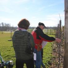 Apprentissage de la taille des arbres fruitiers, Plaine de Chevincourt